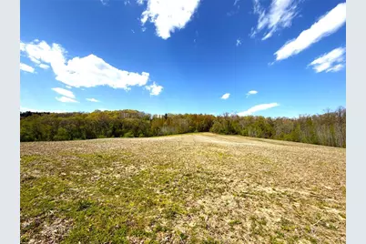 125 Acres Steig Coulee Road, Osseo, WI 54758 - Photo 11
