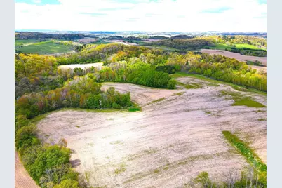 125 Acres Steig Coulee Road, Osseo, WI 54758 - Photo 7