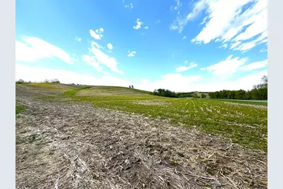 125 Acres Steig Coulee Road, Osseo, WI 54758 - Photo 29