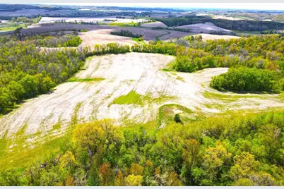 125 Acres Steig Coulee Road, Osseo, WI 54758 - Photo 15