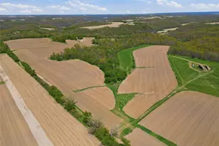 W10050 Co Rd I, Pepin, WI 54759 - Photo 3