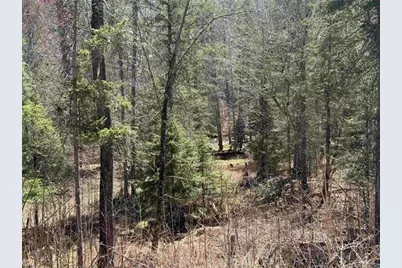 77410 Kaukamo Road, Iron River, WI 54820 - Photo 19