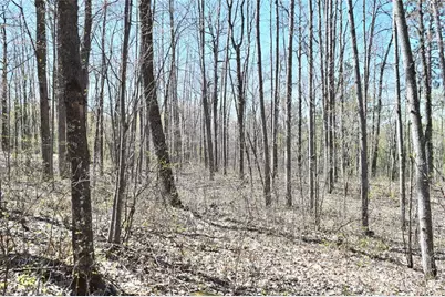 Tbd Highline Road, Hayward, WI 54843 - Photo 17
