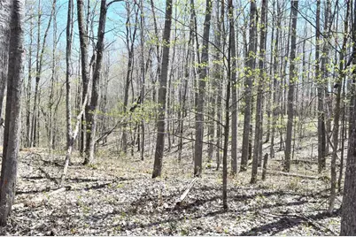 Tbd Highline Road, Hayward, WI 54843 - Photo 23