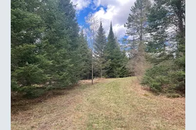 40+/- Acres On Pociask Road, Butternut, WI 54514 - Photo 5