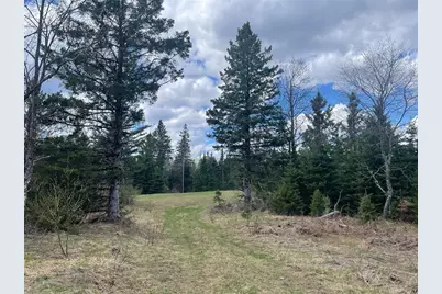40+/- Acres On Pociask Road, Butternut, WI 54514 - Photo 3