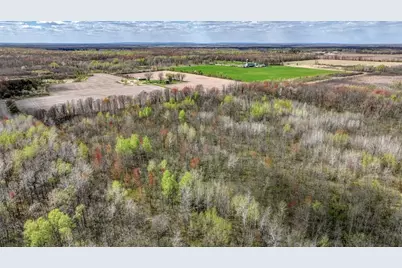 27.6 Acres On Helena Drive, Conrath, WI 54731 - Photo 9