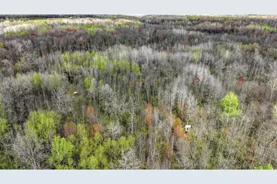 27.6 Acres On Helena Drive, Conrath, WI 54731 - Photo 5