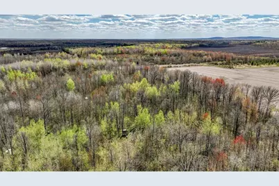 27.6 Acres On Helena Drive, Conrath, WI 54731 - Photo 15