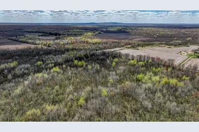 27.6 Acres On Helena Drive, Conrath, WI 54731 - Photo 13