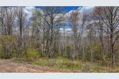 27.6 Acres On Helena Drive, Conrath, WI 54731 - Photo 19