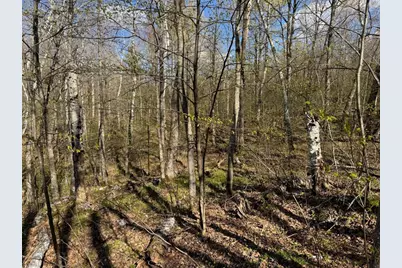 Lots 1-2 Trapper Trail, Hayward, WI 54843 - Photo 21