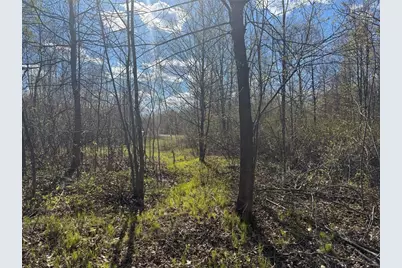 Lots 1-2 Trapper Trail, Hayward, WI 54843 - Photo 29