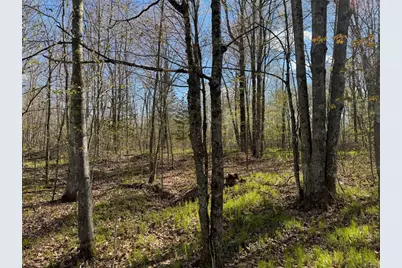Lots 1-2 Trapper Trail, Hayward, WI 54843 - Photo 23