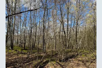 Lots 1-2 Trapper Trail, Hayward, WI 54843 - Photo 27