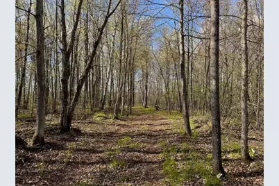 Lot 7 Trapper Trail, Hayward, WI 54843 - Photo 17