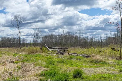 40 Acres Anderson &amp; School Road, Glen Flora, WI 54526 - Photo 17