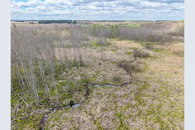 40 Acres Anderson &amp; School Road, Glen Flora, WI 54526 - Photo 9