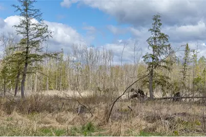 40 Acres Anderson &amp; School Road, Glen Flora, WI 54526 - Photo 1