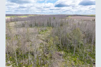 40 Acres Anderson &amp; School Road, Glen Flora, WI 54526 - Photo 13