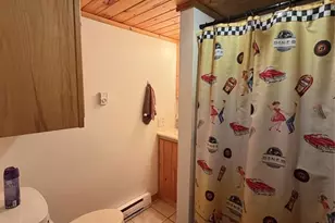 10507 Hamblin St, Hayward, WI 54843 - Photo 37