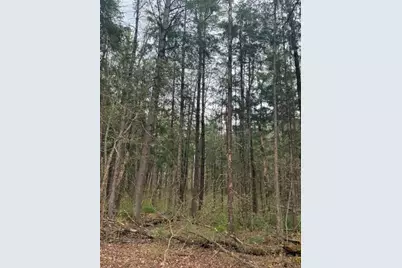 0 Pederson Road, Hayward, WI 54843 - Photo 13