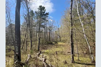 N4365 Red Oak Lane, Stone Lake, WI 54876 - Photo 21