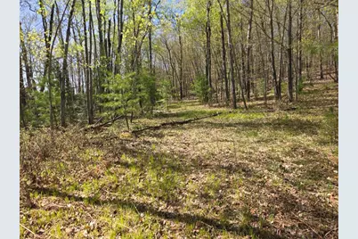 Lot 3 County Highway D, Cable, WI 54821 - Photo 3
