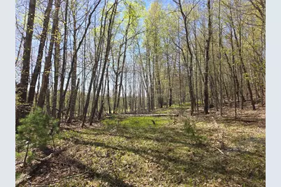 Lot 3 County Highway D, Cable, WI 54821 - Photo 5