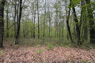 N 5543 County Hwy Bb, Stone Lake, WI 54876 - Photo 21