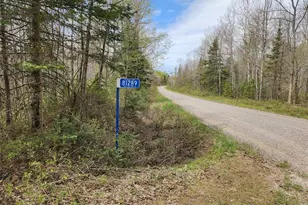 81289 East Side Fire Ln, Glidden, WI 54527 - Photo 19