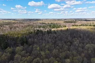 4172W Clover Rd, Winter, WI 54896 - Photo 25