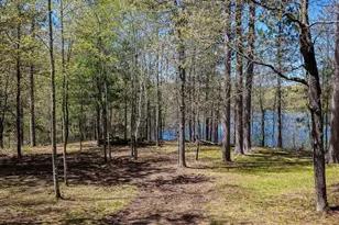 6041 Robie Lake Cir, Danbury, WI 54830 - Photo 9