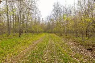 5807 Strom Rd, Winter, WI 54896 - Photo 25