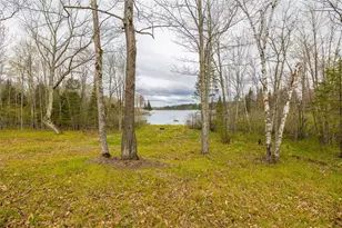 5807 Strom Rd, Winter, WI 54896 - Photo 29