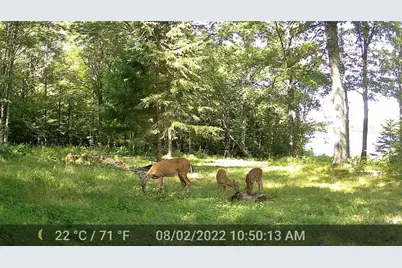 5807 Strom Rd, Winter, WI 54896 - Photo 13
