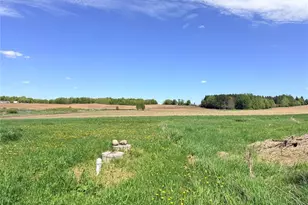 26692 165th Ave, Cadott, WI 54727 - Photo 9