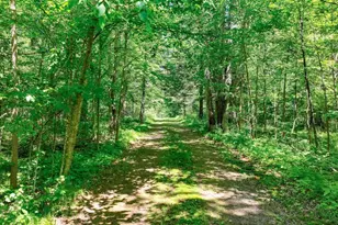 4699 Lake Winter Rd, Winter, WI 54896 - Photo 23