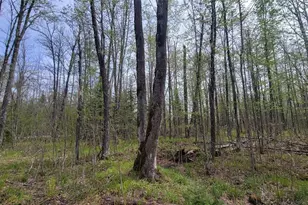 W10389 Fleming Rd, Park Falls, WI 54552 - Photo 21