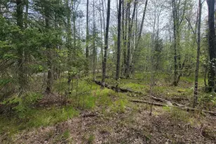 W10389 Fleming Rd, Park Falls, WI 54552 - Photo 23