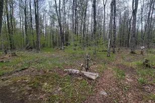 W10389 Fleming Rd, Park Falls, WI 54552 - Photo 19