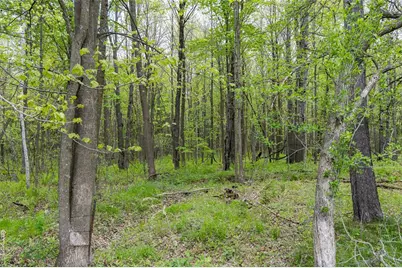 W9756 101 Trail, Ladysmith, WI 54848 - Photo 17