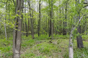 W9756 101 Trail, Ladysmith, WI 54848 - Photo 17