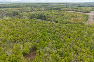 W9756 101 Trail, Ladysmith, WI 54848 - Photo 23
