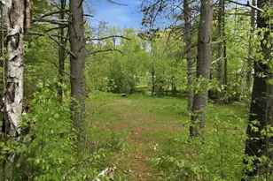26660 County Road M, Holcombe, WI 54745 - Photo 35