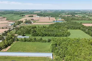 W6062 County Rd X, Withee, WI 54498 - Photo 43