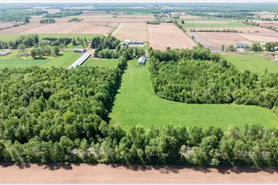 W6062 County Road X, Withee, WI 54498 - Photo 41
