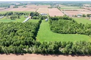 W6062 County Rd X, Withee, WI 54498 - Photo 41