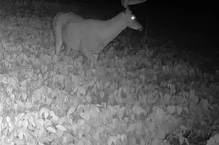 N8771 Fye Rd, Trego, WI 54888 - Photo 27