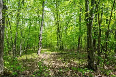 4902 W County Hwy F, Springbrook, WI 54875 - Photo 53
